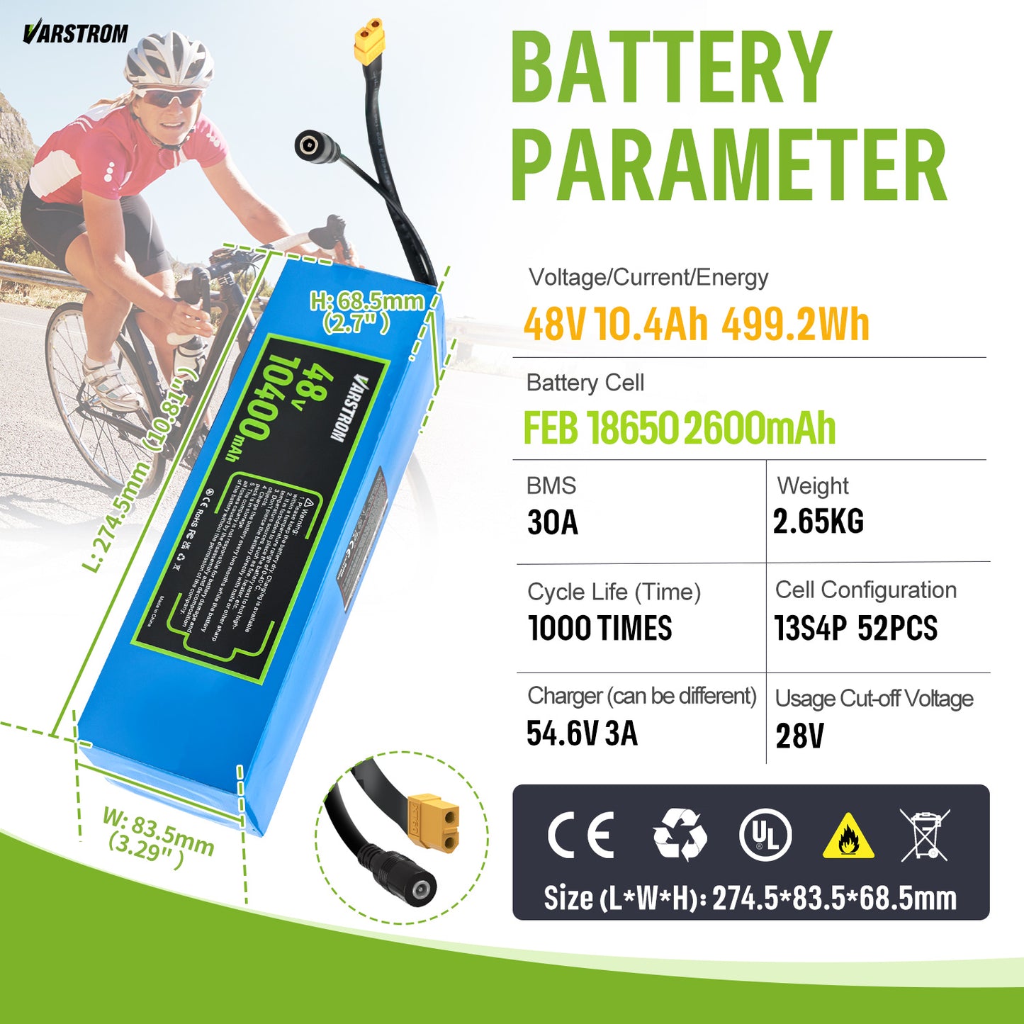 48V Battery with Charger for E-Bike Conversion