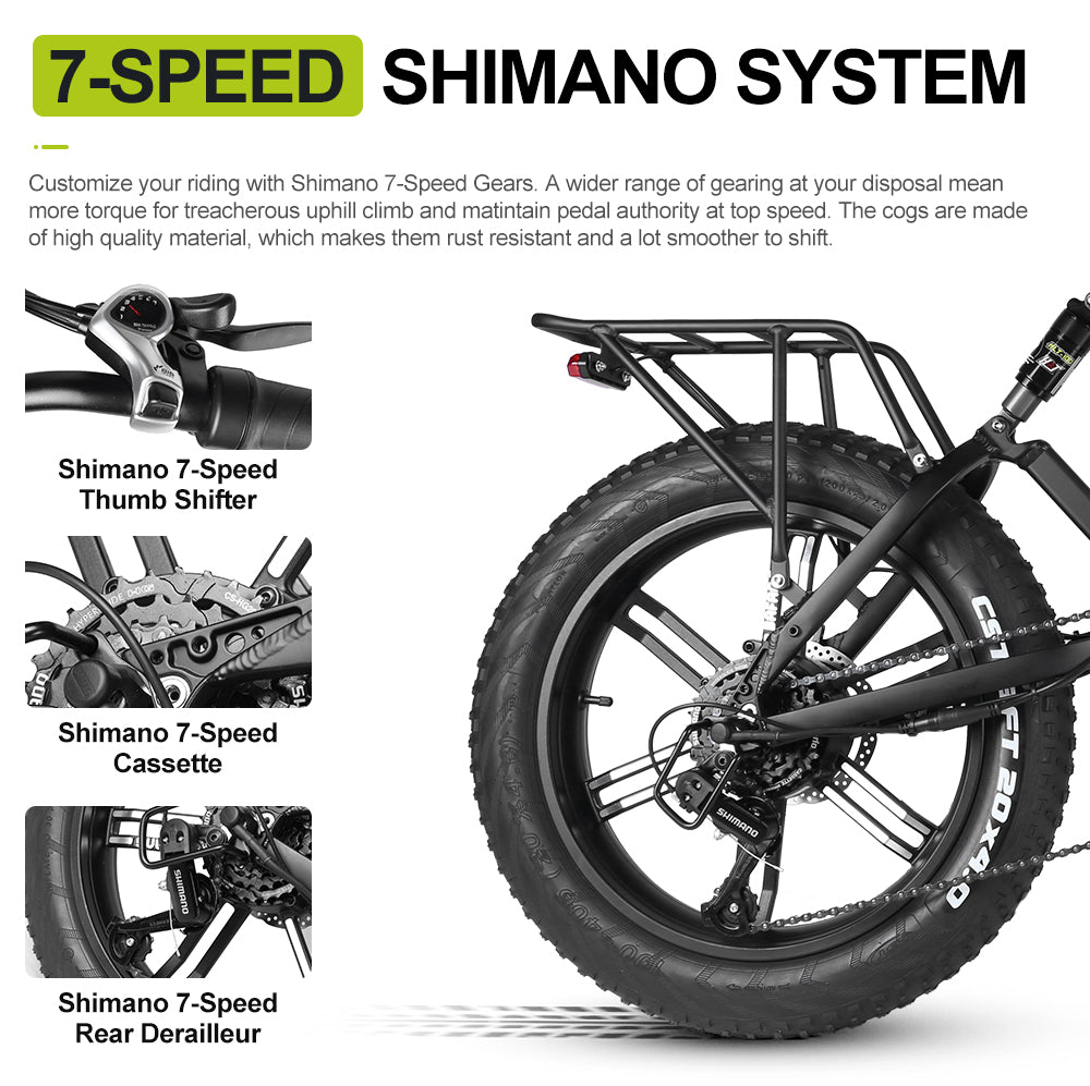 Electric Bike Bicycle for Adults Foldable 750W Motor 48V 10.5A