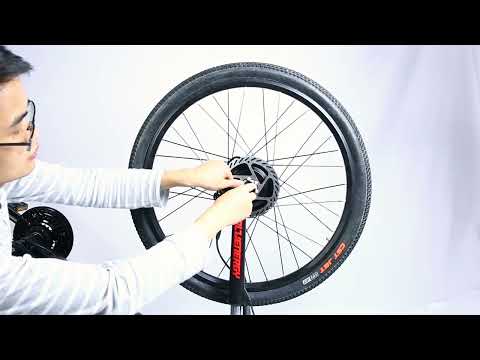 Disassembly Bafang Front Hub Motor