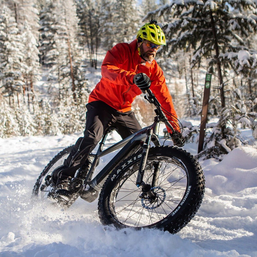 Bafang discount fatbike kit